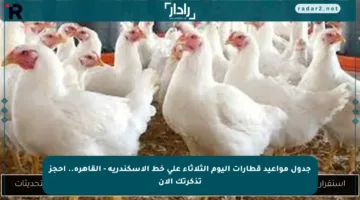 جدول مواعيد قطارات اليوم الثلاثاء على خط الإسكندرية – القاهرة.. احجز تذكرتك الآن